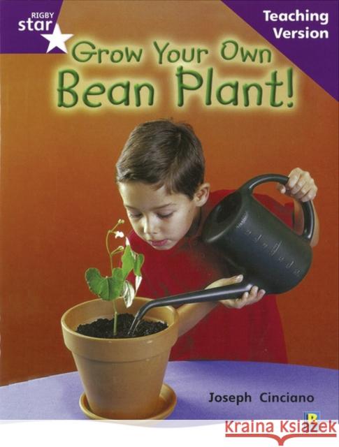 Rigby Star Non-fiction Guided Reading Purple Level: Grow your own bean Teaching Version  9780433047988 HEINEMANN EDUCATIONAL BOOKS - PRIMARY DIVISIO - książka