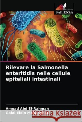 Rilevare la Salmonella enteritidis nelle cellule epiteliali intestinali Amgad Abd El-Rahman, Galal Eldin Mohammed 9786204052144 Edizioni Sapienza - książka