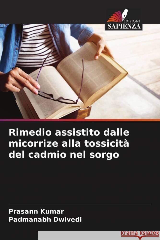 Rimedio assistito dalle micorrize alla tossicità del cadmio nel sorgo Kumar, Prasann, Dwivedi, Padmanabh 9786208571306 Edizioni Sapienza - książka