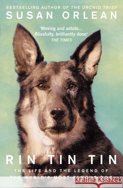 Rin Tin Tin: The Life and Legend of the World’s Most Famous Dog Susan Orlean 9781843547099 Atlantic Books - książka