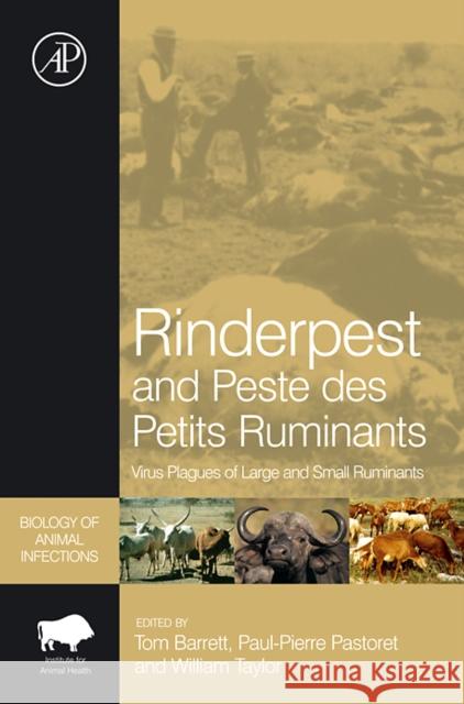 Rinderpest and Peste Des Petits Ruminants: Virus Plagues of Large and Small Ruminants Taylor, William P. 9780120883851  - książka