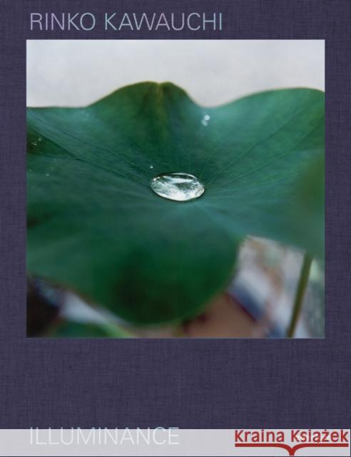 Rinko Kawauchi: Illuminance: The Tenth Anniversary Edition Rinko Kawauchi David Chandler Lesley A. Martin 9781597115148 Aperture - książka