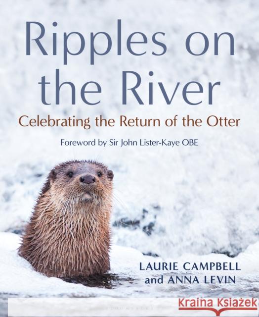 Ripples on the River: Celebrating the Return of the Otter Laurie Campbell Anna Levin 9781472989154 Bloomsbury Wildlife - książka