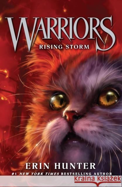 Rising Storm Erin Hunter 9780007140053 HarperCollins Publishers - książka