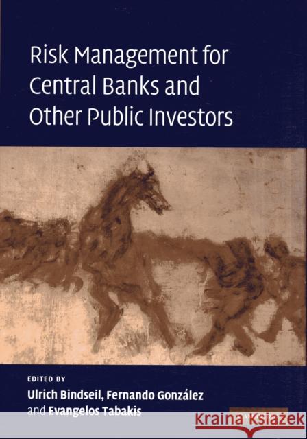 Risk Management for Central Banks and Other Public Investors  9780521518567 CAMBRIDGE UNIVERSITY PRESS - książka