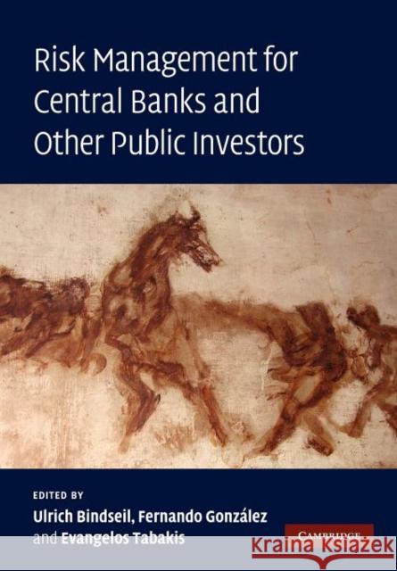 Risk Management for Central Banks and Other Public Investors Ulrich Bindseil Fernando Gonzalez Evangelos Tabakis 9781107403567 Cambridge University Press - książka