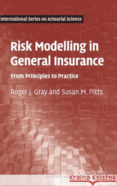 Risk Modelling in General Insurance Gray, Roger J. 9780521863940  - książka