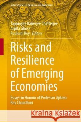 Risks and Resilience of Emerging Economies  9789819940622 Springer Nature Singapore - książka