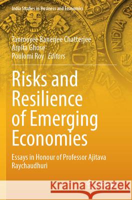 Risks and Resilience of Emerging Economies  9789819940653 Springer Nature Singapore - książka