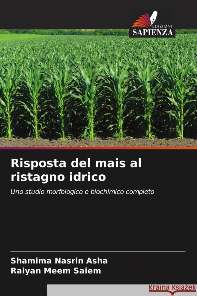 Risposta del mais al ristagno idrico Asha, Shamima Nasrin, Saiem, Raiyan Meem 9786208240295 Edizioni Sapienza - książka