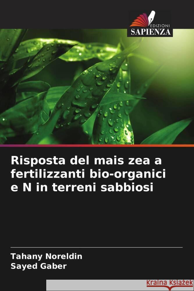 Risposta del mais zea a fertilizzanti bio-organici e N in terreni sabbiosi Noreldin, Tahany, Gaber, Sayed 9786206345626 Edizioni Sapienza - książka