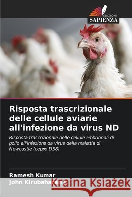 Risposta trascrizionale delle cellule aviarie all'infezione da virus ND Kumar, Ramesh, Kirubaharan J., John 9786208765316 Edizioni Sapienza - książka