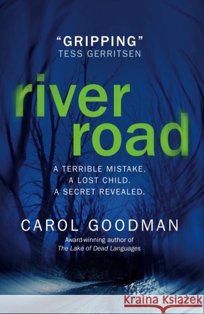 River Road Carol Goodman  9781785650710 TITAN PUBLISHING GROUP - książka