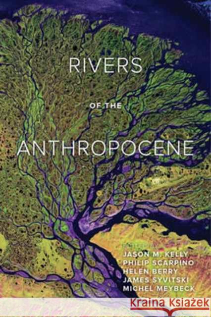 Rivers of the Anthropocene Kelly, Jason M.; Scarpino, Philip; Berry, Helen 9780520295025 John Wiley & Sons - książka