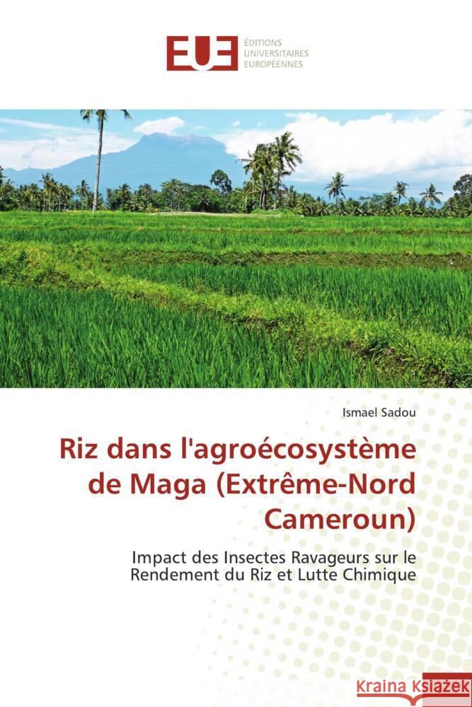 Riz dans l\'agro?cosyst?me de Maga (Extr?me-Nord Cameroun) Ismael Sadou 9786203446463 Editions Universitaires Europeennes - książka