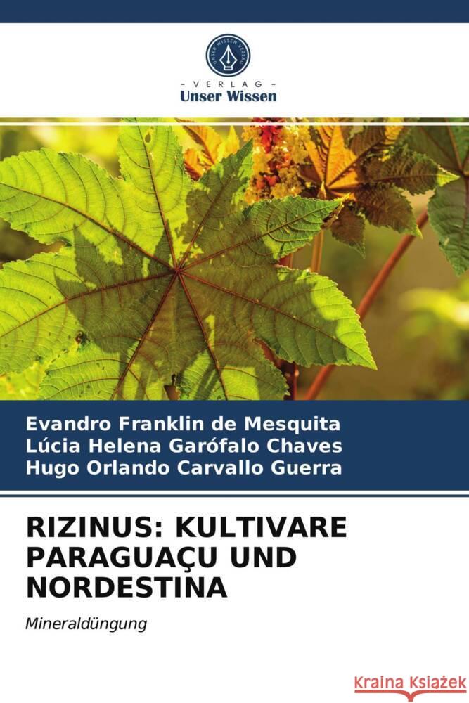 RIZINUS: KULTIVARE PARAGUAÇU UND NORDESTINA Mesquita, Evandro Franklin de, Garófalo Chaves, Lúcia Helena, Carvallo Guerra, Hugo Orlando 9786203955057 Verlag Unser Wissen - książka