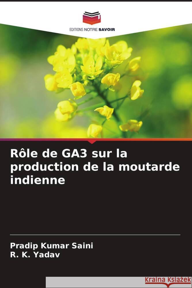 Rôle de GA3 sur la production de la moutarde indienne Saini, Pradip Kumar, Yadav, R. K. 9786205000311 Editions Notre Savoir - książka