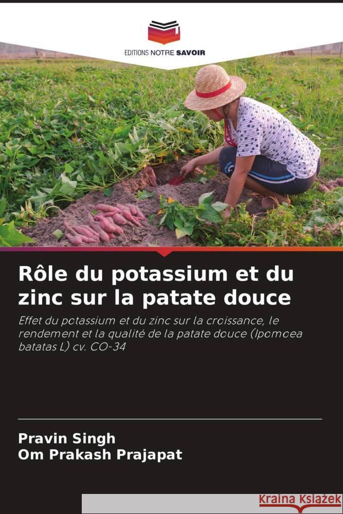 R?le du potassium et du zinc sur la patate douce Pravin Singh Om Prakash Prajapat 9786207350292 Editions Notre Savoir - książka