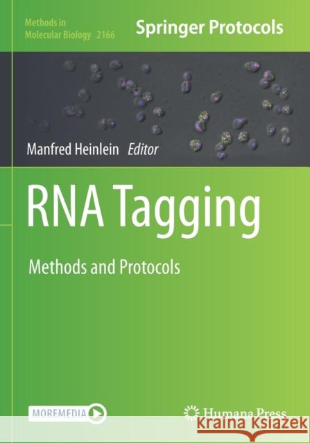 RNA Tagging: Methods and Protocols Manfred Heinlein 9781071607145 Humana - książka