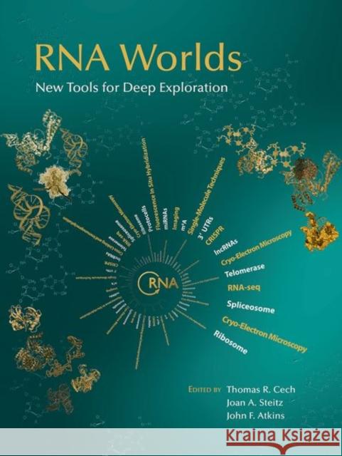 RNA Worlds: New Tools for Deep Exploration Thomas R. Cech Joan A. Steitz John F. Atkins 9781621822240 Cold Spring Harbor Laboratory Press - książka