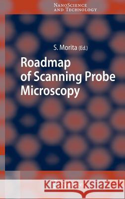 Roadmap of Scanning Probe Microscopy Seizo Morita 9783540343141 Springer-Verlag Berlin and Heidelberg GmbH &  - książka