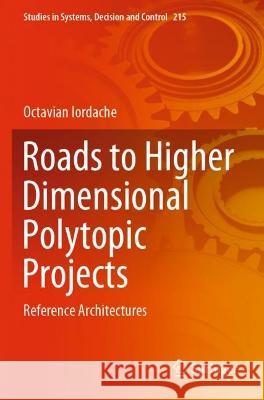 Roads to Higher Dimensional Polytopic Projects Octavian Iordache 9783031079825 Springer International Publishing - książka