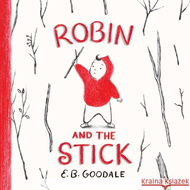 Robin and the Stick: A Picture Book E. B. Goodale 9781419780837 Abrams Books for Young Readers - książka