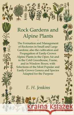 Rock Gardens and Alpine Plants E. H. Jenkins 9781444659030 Saerchinger Press - książka