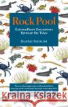 Rock Pool: Extraordinary Encounters Between the Tides Heather Buttivant 9781912836123 September Publishing