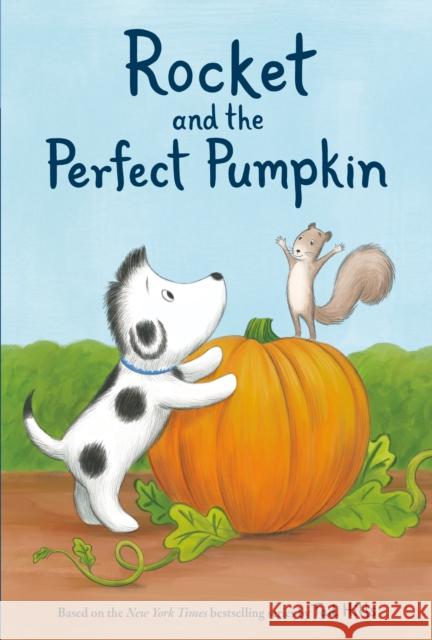 Rocket and the Perfect Pumpkin Tad Hills 9780593177884 Schwartz & Wade Books - książka