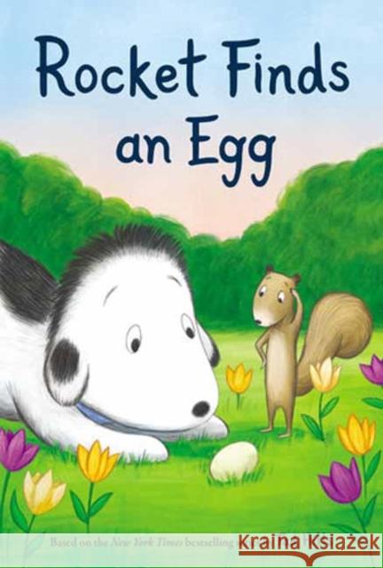 Rocket Finds an Egg Tad Hills 9780593181270 Random House USA Inc - książka