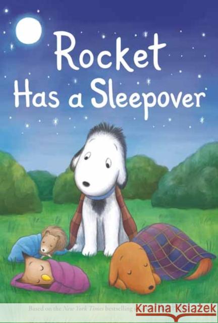 Rocket Has a Sleepover Tad Hills 9780593181225 Random House Books for Young Readers - książka