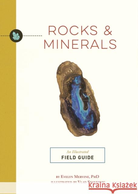 Rocks and   Minerals: An Illustrated Field Guide Evelyn Mervine 9781646434510 HarperCollins Focus - książka