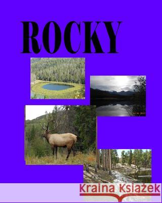 Rocky MR Brian Daniel Starr 9781479315987 Createspace - książka