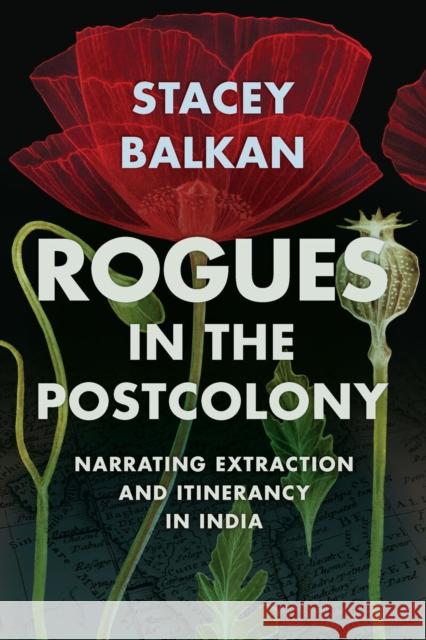 Rogues in the Postcolony Stacey Balkan 9781952271366 West Virginia University Press - książka