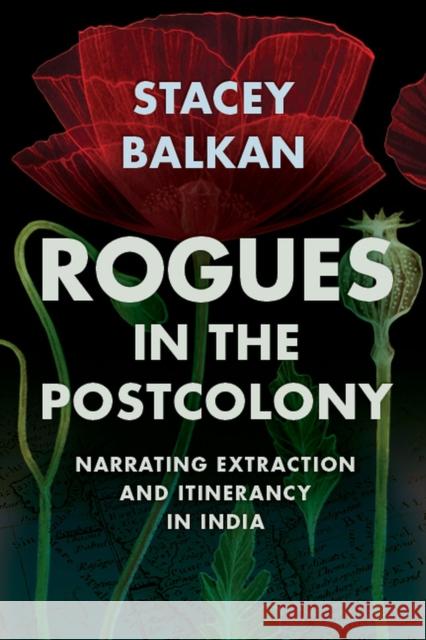 Rogues in the Postcolony: Narrating Extraction and Itinerancy in India Stacey Balkan 9781952271359 West Virginia University Press - książka