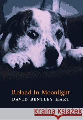 Roland in Moonlight David Bentley Hart 9781621386940 Angelico Press - książka