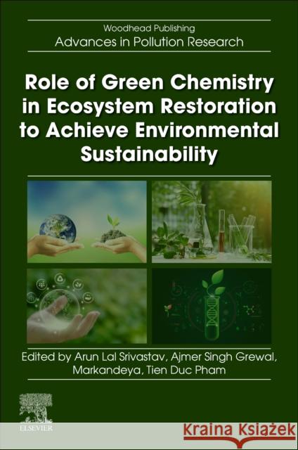 Role of Green Chemistry in Ecosystem Restoration to Achieve Environmental Sustainability Arun Lal Srivastav Ajmer Singh Grewal Markandeya Tiwari 9780443152917 Elsevier - książka