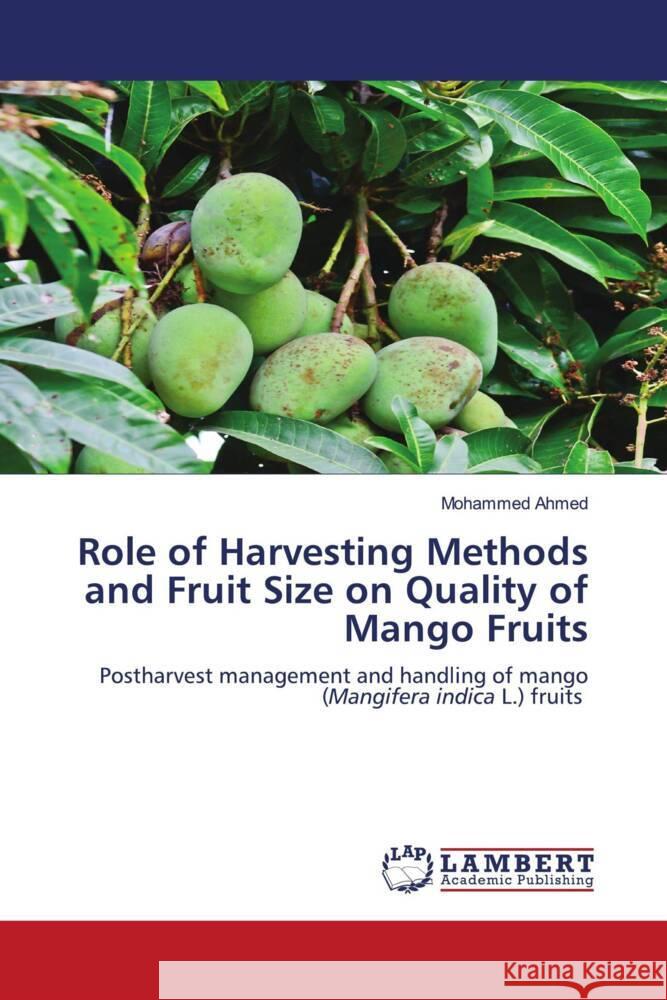 Role of Harvesting Methods and Fruit Size on Quality of Mango Fruits Ahmed, Mohammed 9786205519806 LAP Lambert Academic Publishing - książka