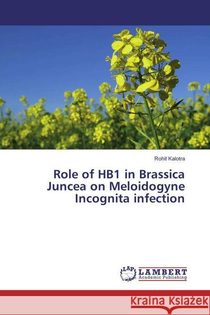 Role of HB1 in Brassica Juncea on Meloidogyne Incognita infection Kalotra, Rohit 9783659834066 LAP Lambert Academic Publishing - książka