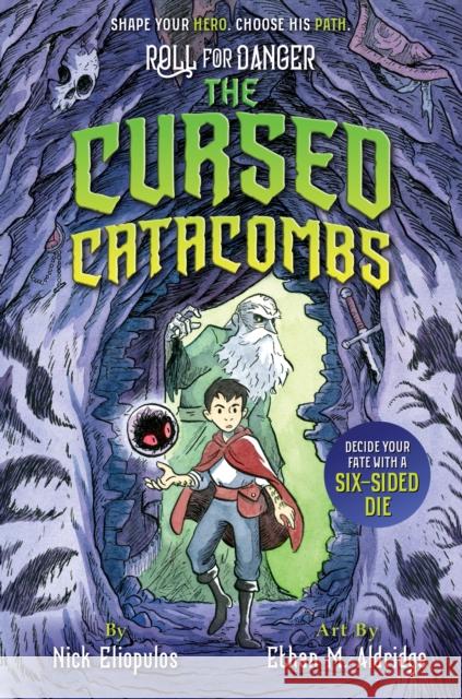 Roll for Danger: The Cursed Catacombs Nick Eliopulos, Ethan M. Aldridge 9781368083898 Hyperion - książka
