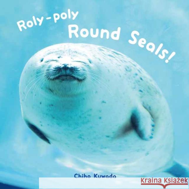 Roly-Poly Round Seals! Chiho Kuwada 9784756254740 Pie International - książka