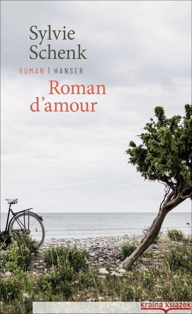 Roman d'amour Schenk, Sylvie 9783446269224 Hanser - książka