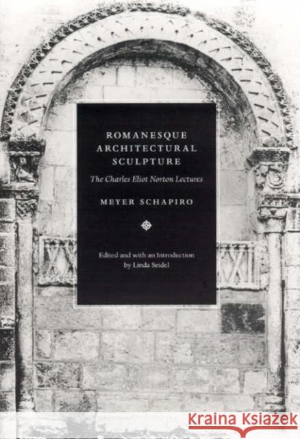 Romanesque Architectural Sculpture: The Charles Eliot Norton Lectures Meyer Schapiro Linda Seidel 9780226750637 University of Chicago Press - książka