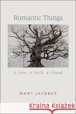 Romantic Things: A Tree, a Rock, a Cloud Mary Jacobus 9780226271347 University of Chicago Press - książka