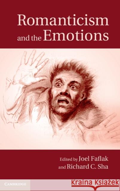 Romanticism and the Emotions Joel Faflak & Richard C Sha 9781107052390 CAMBRIDGE UNIVERSITY PRESS - książka