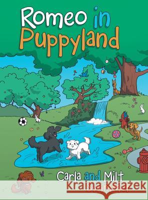 Romeo in Puppyland Carla and Milt Swimmer 9781480838956 Archway Publishing - książka