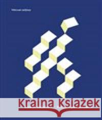 Román pro pitomce Lukáš Balabán 9788074435812 Větrné mlýny - książka
