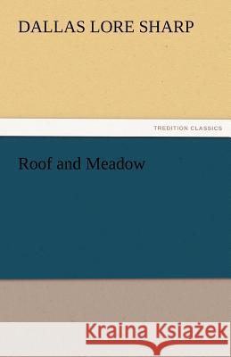 Roof and Meadow Dallas Lore Sharp   9783842476585 tredition GmbH - książka