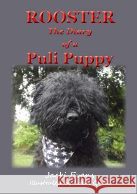 Rooster - the Diary of a Puli Puppy Jacki Evans, Isobel Quill 9781782224303 Paragon Publishing - książka
